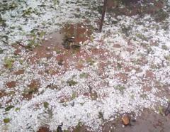 Central evitó dos granizadas, pero sigue bajo alerta
