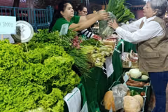 Ferias de agricultura familiar ofrecen productos frescos en San Lorenzo y Lambaré