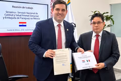 Paraguay avanza para exportar carne bovina a México