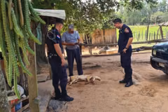 Matan de un disparo a un perro y buscan al autor