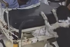 Perrito que acompañó a su dueño accidentado consigue hogar temporal
