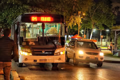 Red Búho registra más de 341.000 viajes, con mayor demanda de noche y los fines de semana