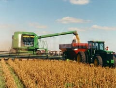BCP emite resolución de apoyo al agro para capear la sequía