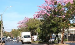 Anuncian miércoles fresco a cálido con un alto nivel de humedad