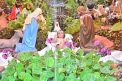 ¿Cuándo guardar el árbol y pesebre navideño?