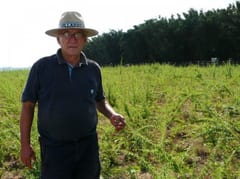 Fallece conocido locutor e investigador