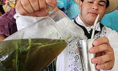 Paraguay celebra el “Día Nacional del Tereré”