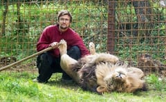 Hombre muere devorado por león que tenía de mascota
