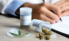 Cannabis legal en Paraguay: 10 datos para entender lo que proyecta el Gobierno