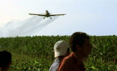 ONU condena a Paraguay por muerte a causa de agroquímicos