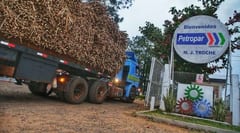 Niegan ingreso a planta a cañicultores por no reunirse con el Presidente, denuncian
