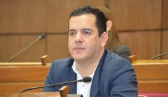Friedmann ofreció renunciar al Senado, según Samaniego
