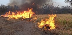 Fuego vuelve a ingresar a territorio paraguayo