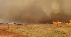 Coordinador de la SEN asegura que incendios están controlados
