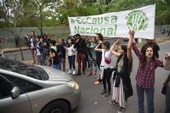 Liberan a detenidos a causa de incidentes en el Botánico