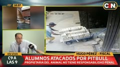 Propietaria de pitbull agresor no será imputada, dice fiscal