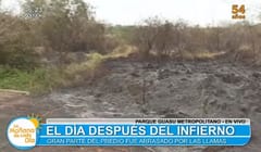 Incendio consumió alrededor de 30 hectáreas en el Parque Guasu