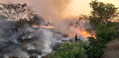 11 imágenes de la devastación en el Parque Guasu