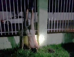 Delincuente queda colgado de reja tras intento de robo