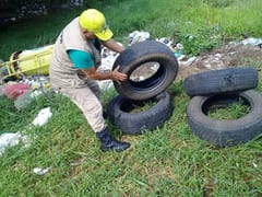 Criaderos de dengue se concentran en Asunción y Central