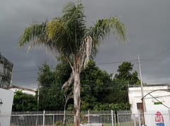 Meteorología emite alerta de tiempo severo para cinco departamentos