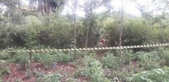 Detienen a principal sospechoso de cuádruple homicidio en el este