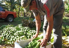 Paraguay y Chile potencian su relacionamiento comercial, destaca encargado de negocios