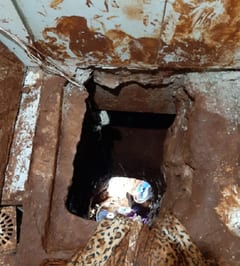 Pericia confirma que fuga de reos se dio a través de túnel
