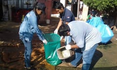Declaran contingencia ambiental ante alerta por casos de chikungunya y dengue