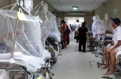 Congreso sanciona ley de emergencia por epidemia de dengue