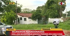 Hallan perros muertos en casa abandonada
