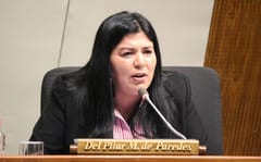 Diputada se opone a recorte de salario