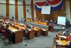 Convocan a sesión extra en Diputados para tratar crisis por incendios