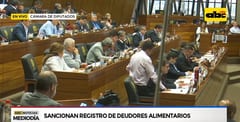 Sancionan ley que restringe operaciones financieras de padres morosos