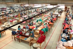 Trabajadores suspendidos podrán consultar sus pagos en web de IPS