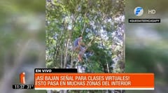 Padres trepan árboles para acceder a tareas del MEC