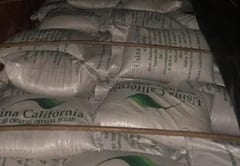 Decomisan 30 toneladas de azúcar de contrabando en Canindeyú