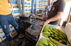 Decomisan más de cuatro toneladas de marihuana en Chaco’i