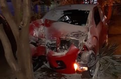 Hombre muere tras chocar contra un árbol en Ciudad del Este