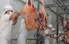 Arranca Faena Kosher para el mercado israelí