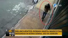 Delincuente roba una mascota en Asunción