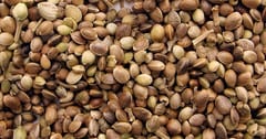 Sancionan a empresa por importación irregular de semillas de cáñamo