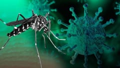 Alertan sobre el peligro de casos de “covidengue” en Paraguay
