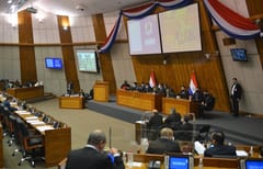 Diputados aceptan veto a ley de anulación de facturas de ANDE y ESSAP