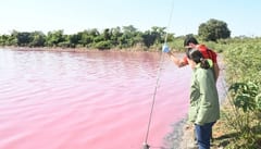 Reportan alto grado de contaminación en laguna Cerro de Limpio