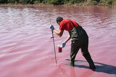 Tras varias denuncias, Mades interviene en laguna teñida de rojo