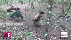 Revelan videos que muestran cómo jóvenes son adiestrados por el EPP