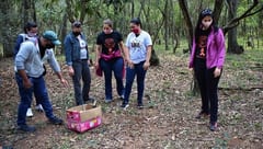 Imputan a mujer por “faenar” perros para consumo humano
