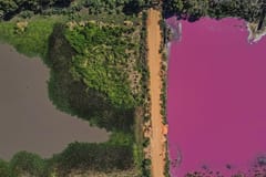 Multa de más de G. 840 millones por construcción sobre laguna