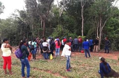 Nativos reinician búsqueda de Oscar Denis en zona boscosa de Concepción